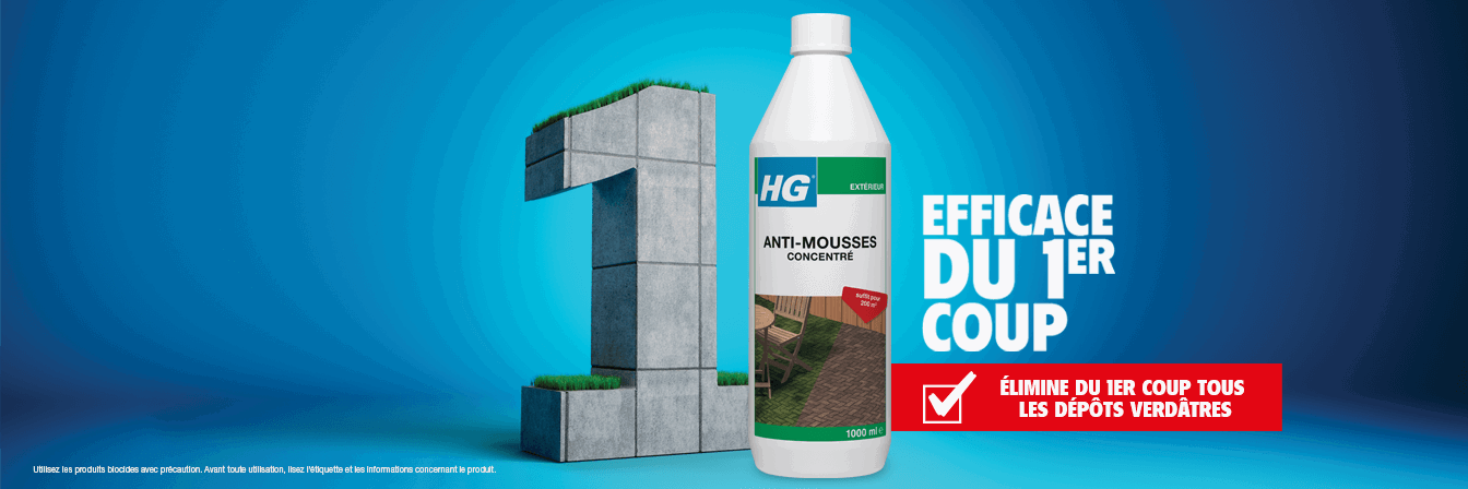 Groene Aanslag 1 Banner FR
