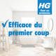 HG destructeur de moisissures