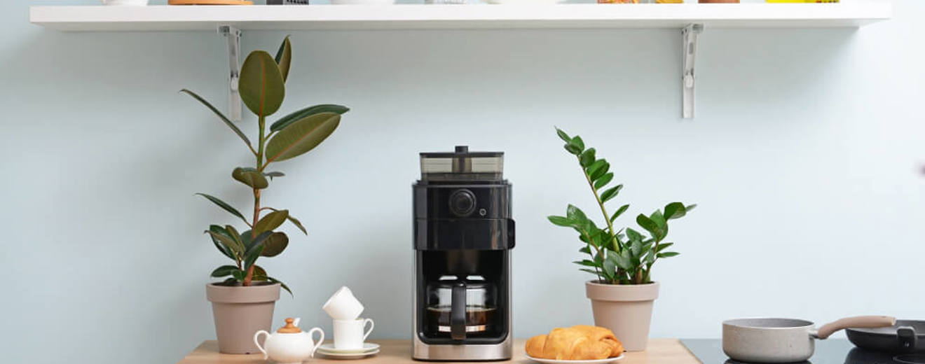 Shutterstock 1435308638