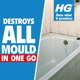 HG anti mould spray