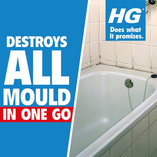 HG anti mould spray