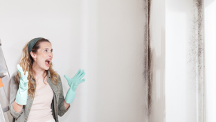 Jongvolwassenen en schimmel in huis