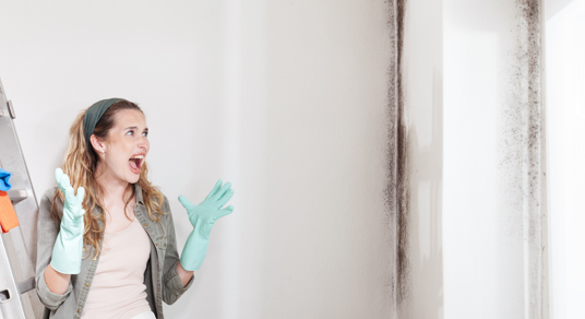 Jongvolwassenen rapporteren het vaakst schimmel in huis maar kennen hun rechten onvoldoende