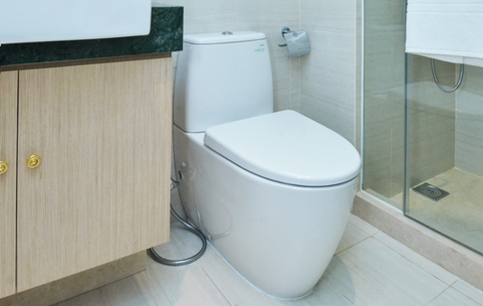 Het toilet snel hygiënisch proper en fris!