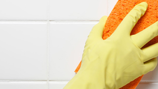 How to get rid of dampness in walls