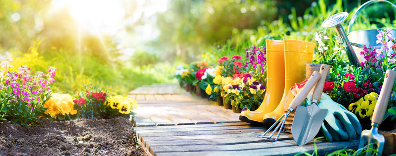 Shutterstock 582283708