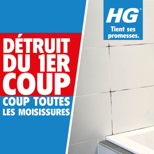 HG spray moussant destructeur de moisissures