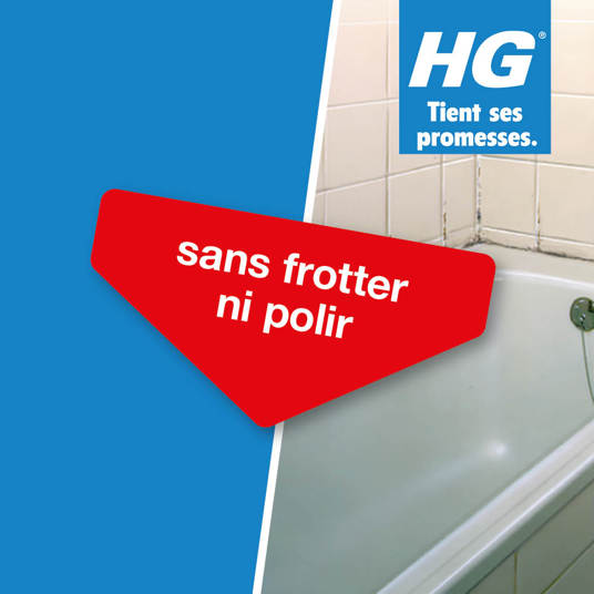 HG destructeur de moisissures