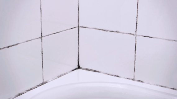 Moisissure dans la salle de bain : comment s'en débarrasser ?