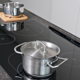 HG cleaner hob