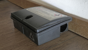 Combattre les souris