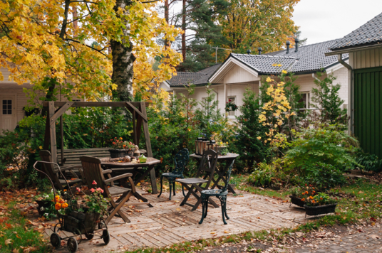 De tuin voorbereiden op de winter