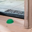 Insecten & Ongedierte