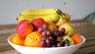 Come eliminare i moscerini della frutta