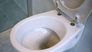 WC ontkalken