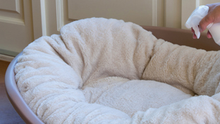 Geruch aus Wohnung entfernen