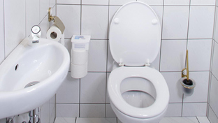 How to clean a toilet