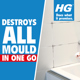 HG mould remover spray
