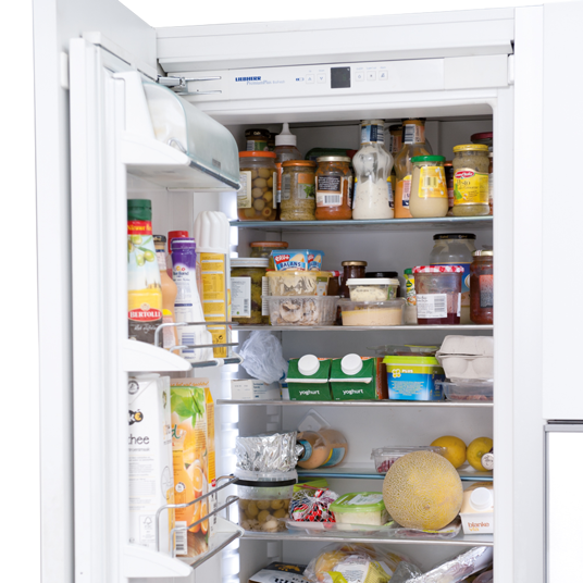 HG Limpador higienizante frigoríficos