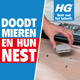 HGX lokdoos tegen mieren