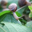 Buiten