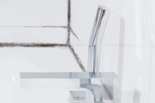 Schimmel verdwijnt als sneeuw voor de zon met onze schimmelverwijderaars