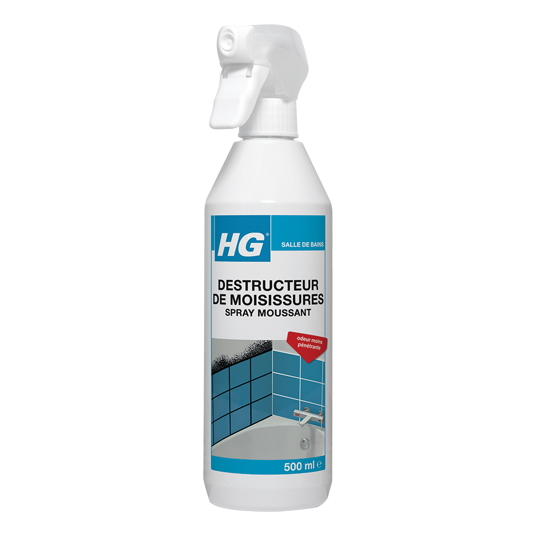 HG spray moussant destructeur de moisissures