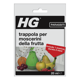 HG trappola per moscerini della frutta