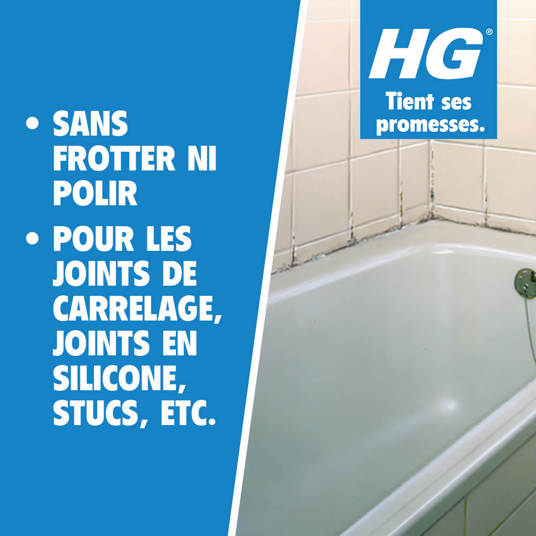 HG destructeur de moisissures