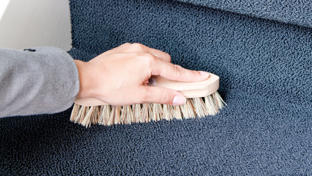 Teppich reinigen