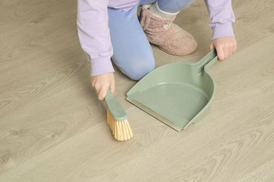 Nový šéf v domácnosti