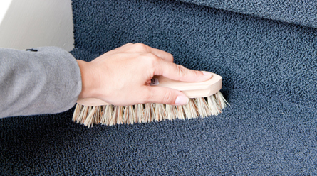 carpet cleaning