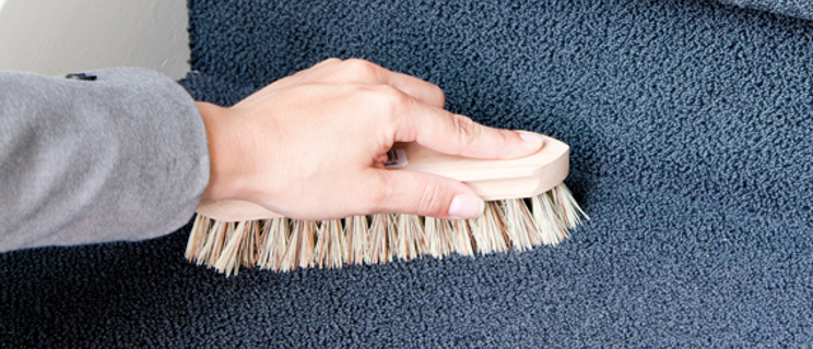 How to clean carpet