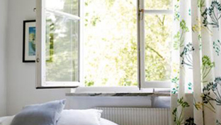 Schimmel in huis