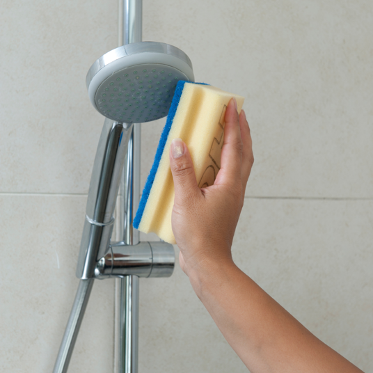 professional scale remover