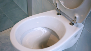 How To Descale A Toilet 02