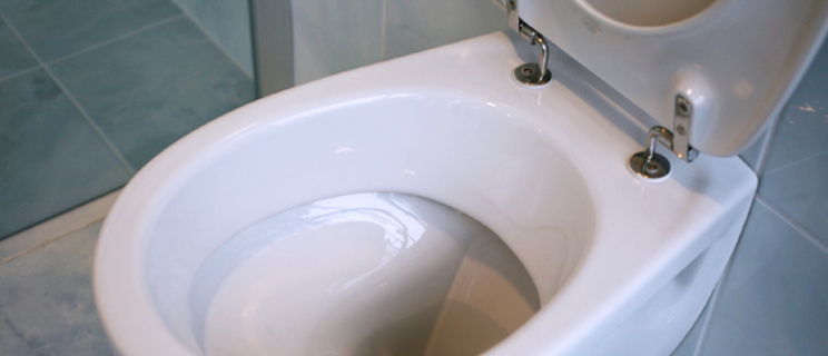 How to descale a toilet
