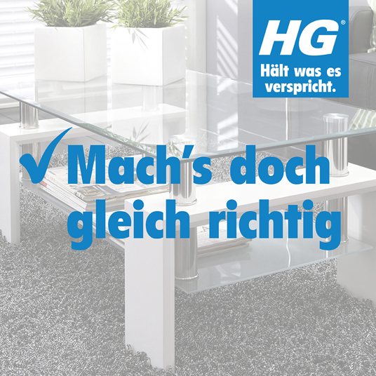 HG Glas und Spiegel Spray