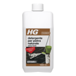 HG detergente extra forte per pietra naturale