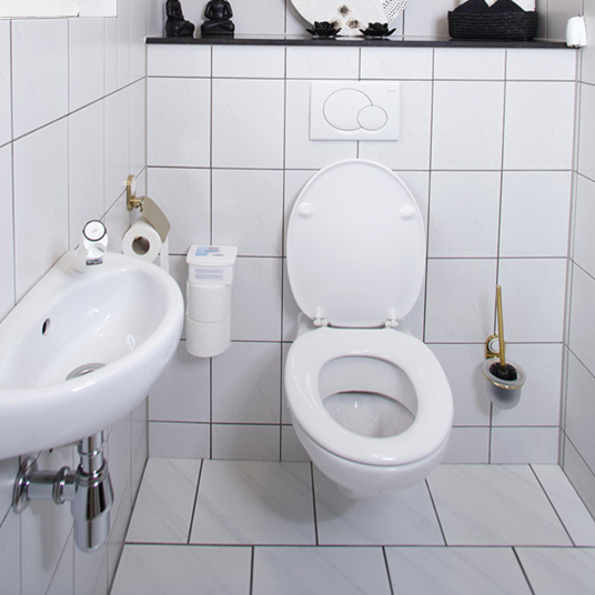HG ECO toiletruimtereiniger