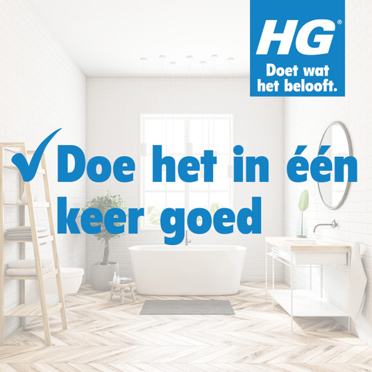 HG nettoyant douche et lavabo