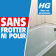 HG destructeur de moisissures