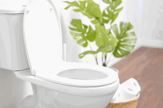 De wc grondig schoonmaken met HG