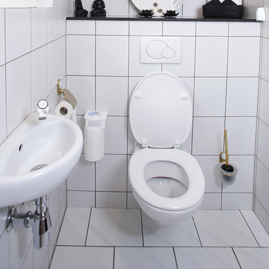 HG higieniczny środek do bieżącego czyszczenia toalet 