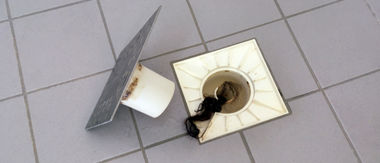 How to unblock a shower drain